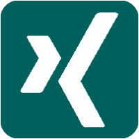 XING Icon